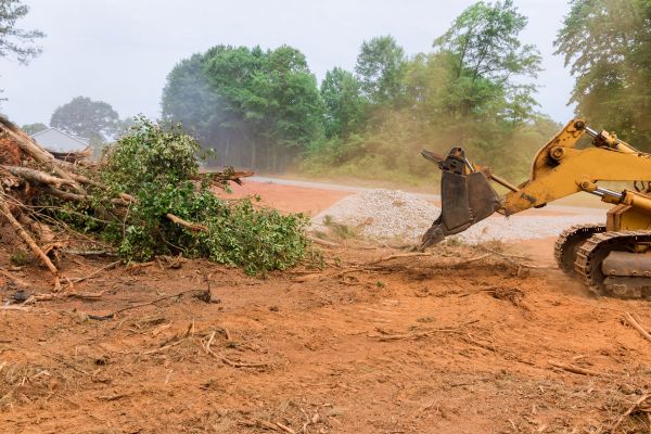 Ground Clearing in Longmont