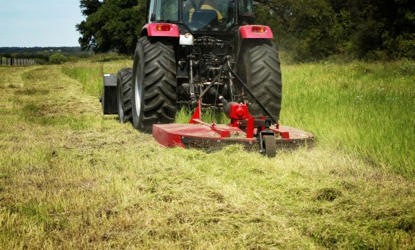 Brush Clearing Service in Longmont