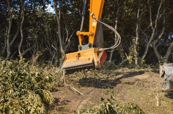 Brush Removal Service in Longmont