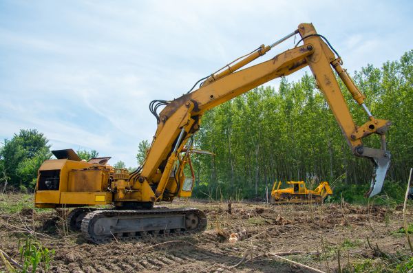 Cost of Farm Clearing in Longmont
