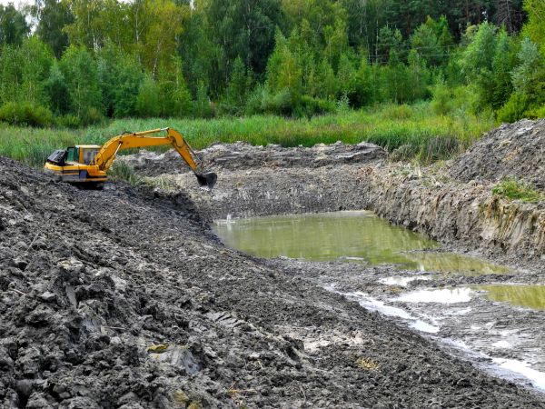 Cost of Lake Lot Clearing in Longmont