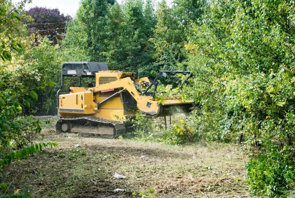 Cost of Pathway Clearing in Longmont
