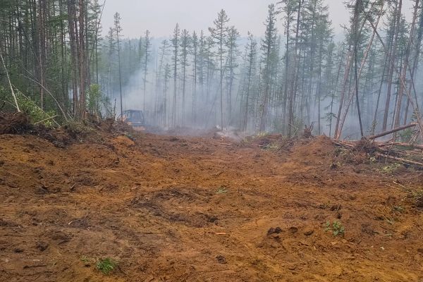 Cost of Hill Clearing in Longmont