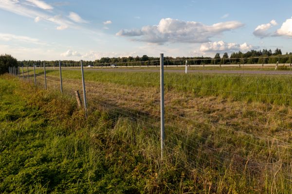 Cost of Property Line Clearing in Longmont