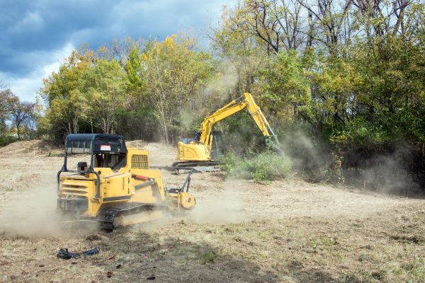 Cost of Terrain Clearing in Longmont