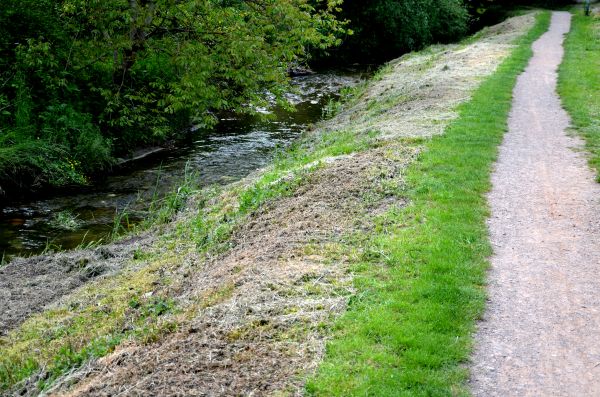 Cost of Trail Cutting in Longmont